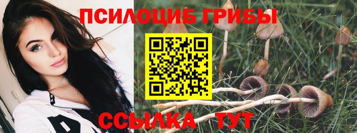 Домодедово  Псилоцибиновые грибы Cubensis  Псилоцибиновые грибы мухоморы  Вход с VPN 